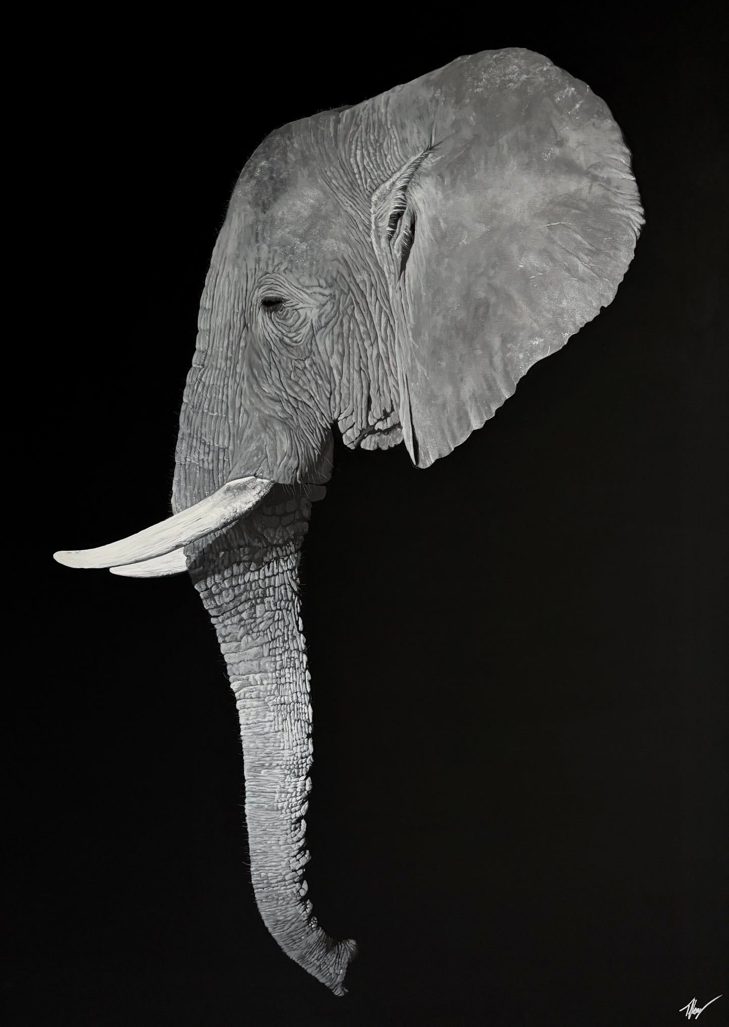 ‘Matriarch’