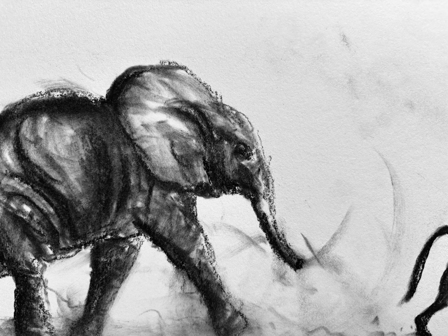 Trunk and Tails - series 2/4