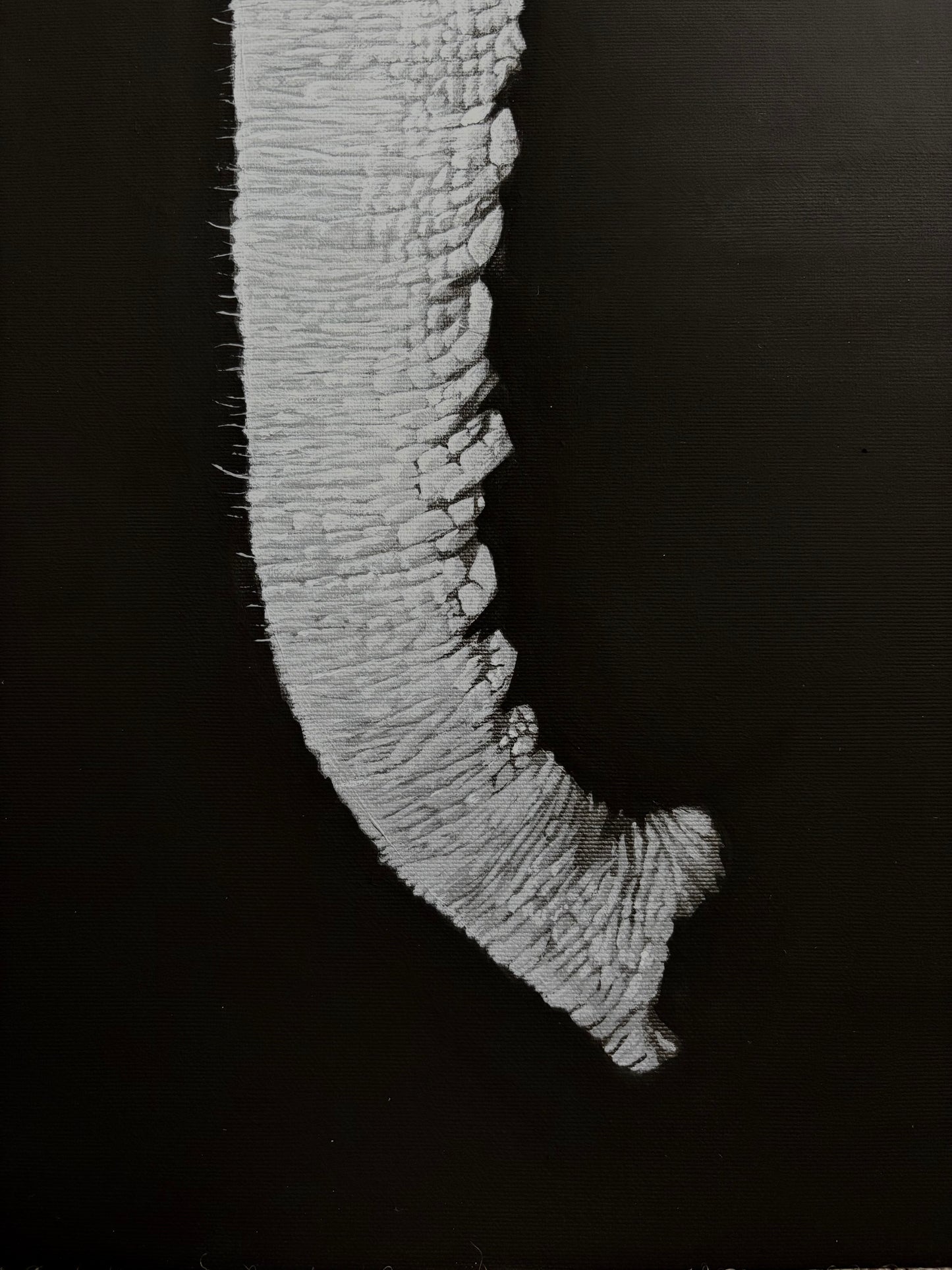 ‘Matriarch’
