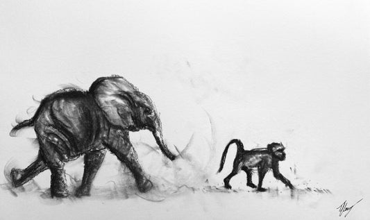Trunk and Tails - series 2/4