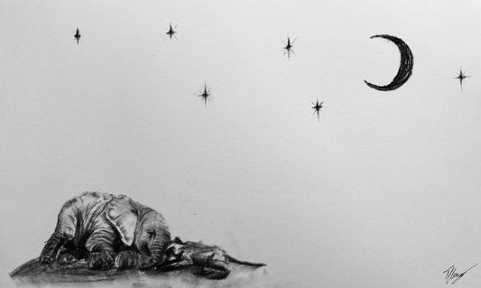 Trunk and Tails - series 4/4
