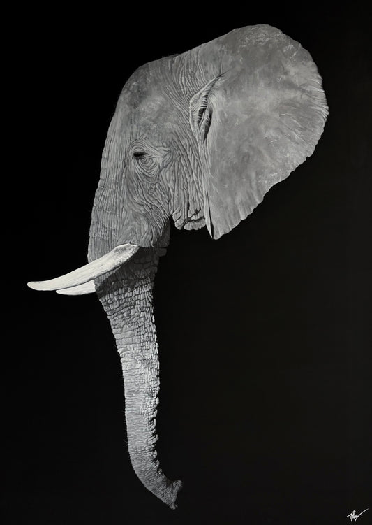 ‘Matriarch’
