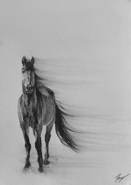 ‘Passing By’